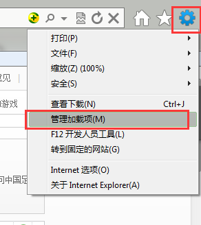 Flash Player \