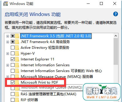 Win10ϵͳ