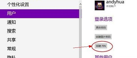 win8дPIN½