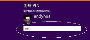win8дPIN½