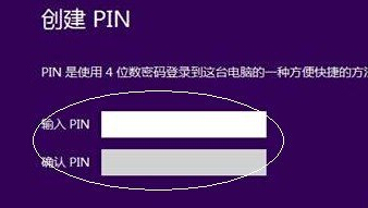 win8дPIN½