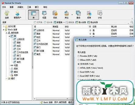 Navicat for Oracle (Oracleݿ) V11.1.11.0 İ