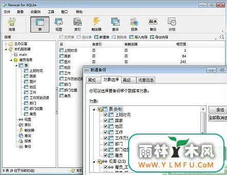 Navicat for SQLite(SQLiteݿ)V11.1.11.032λİ