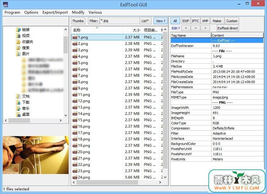 ExifTool GUI 3.38.2.0 ɫ(exifϢ鿴)