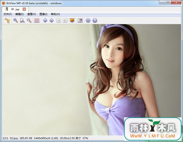 XnViewMP(ǿͼ) x64 V0.72 ԰