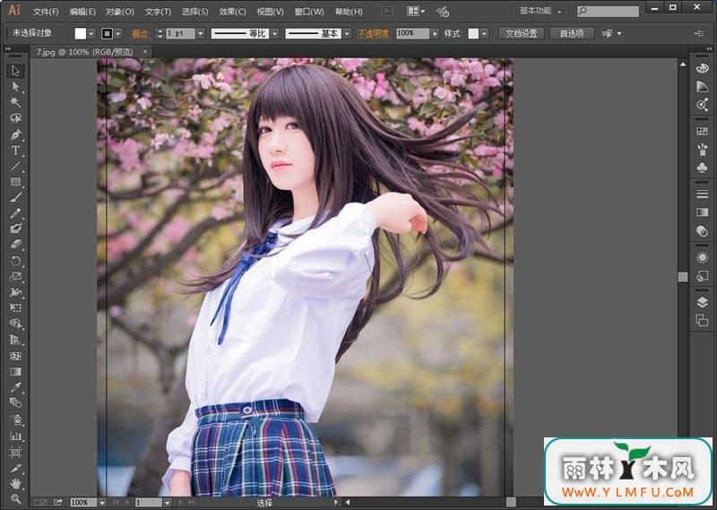 Adobe Illustrator CC 2014(AI CC 2014)İ 2014