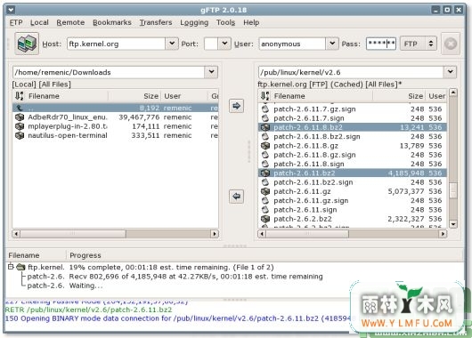gFTP(Linux FTPͻ) V2.0.19 Linux