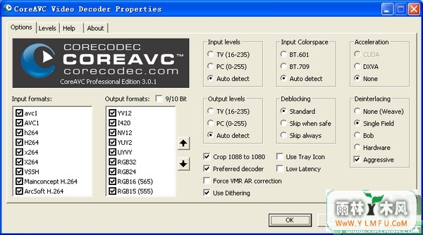 CoreAVC 3.0.1 רҵ(Ƶ)