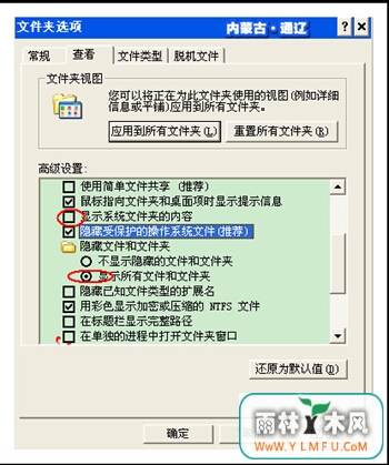 U盘遮蔽的项目怎么呈现出来?