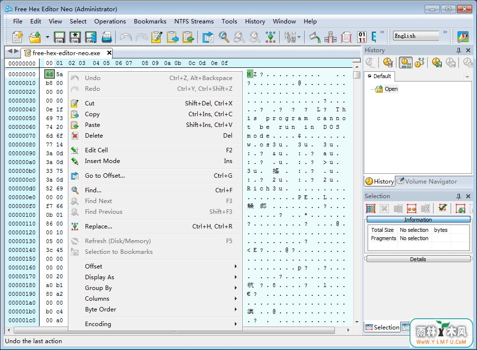 Free Hex Editor Neo 6.12.0.5406 ٷ(16Ʊ༭Ѱ)
