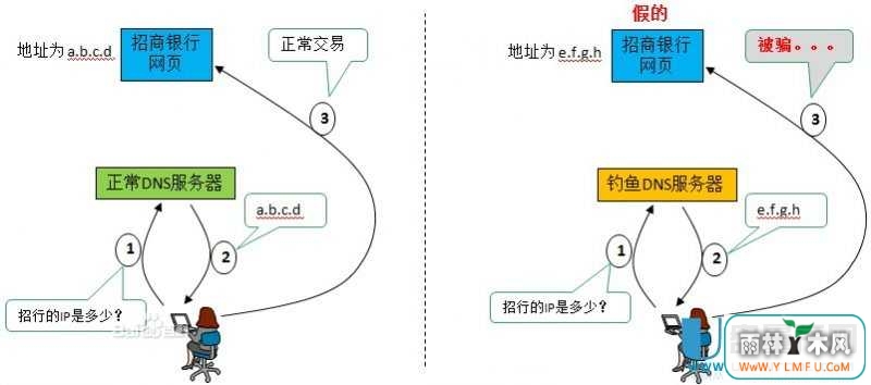 dns۸ɨä