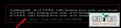 linux虚拟机怎么使用及卸载U盘?