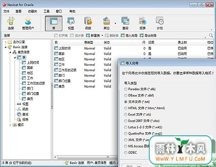 Navicat for Oracle (Oracleݿ) V11.1.13 İ