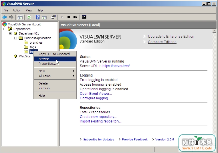 VisualSVN Server(svn˹)3.3.1ٷ