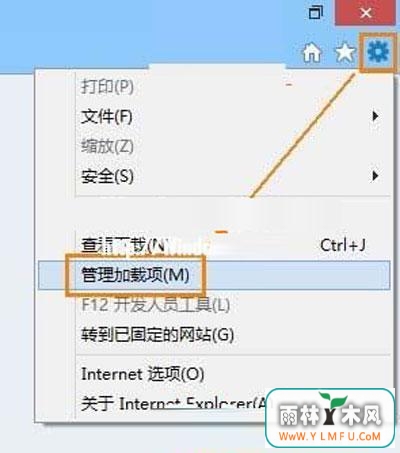 win8ϵͳIE10FlashŲô