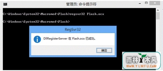 flash.ocx(flash޸)