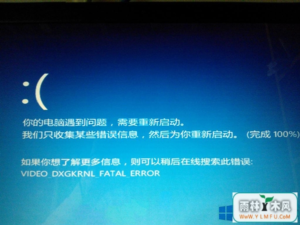 Win8.1ʾvideo dxgkrnl fatal errorķ