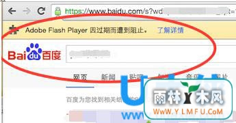 ôԸ¹ȸʾAdobe Flash Player