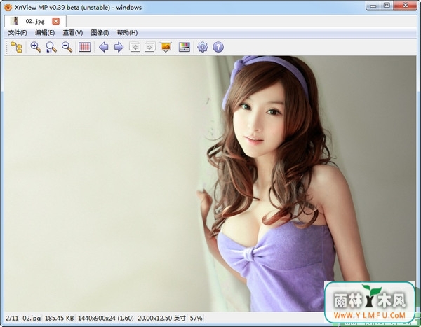 XnViewMP(ǿͼ) x64 V0.76 ԰