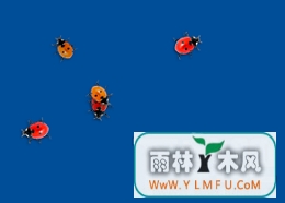 Ladybug on DesktopٷV1.2.0.0ٷ 1.2
