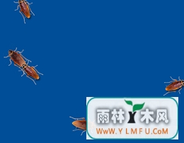 Cockroach on Desktop(Cockroach on Desktopٷ)V1.2.0.0ٷ V1.2.0.0