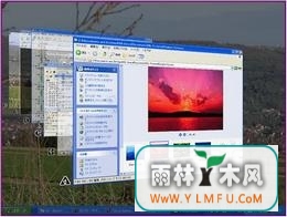 WinFlip(Flip 3DЧ)V1.0.0.0ٷ
