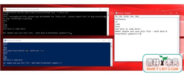 Windows 10汾WSLinotify֧