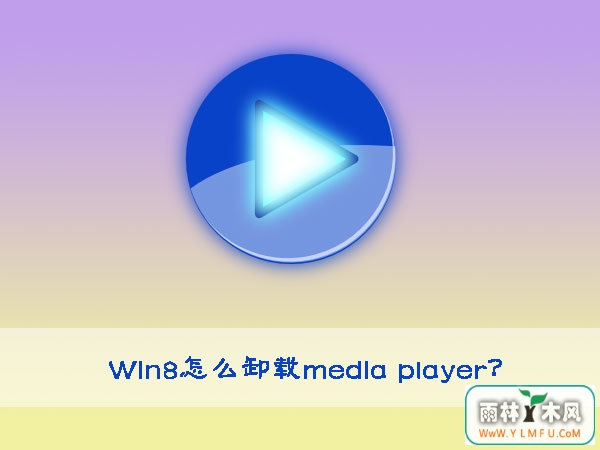 Win8ôжmedia player