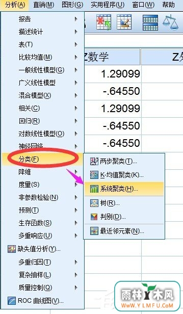 spss聚类分析教程 利用spss对数据进行聚类分析