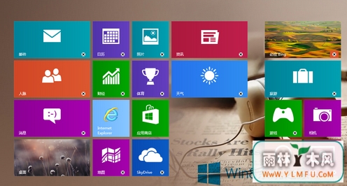 ôWin8ʾexplorer.exeûעࣿ