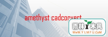 Amethyst CADconvert 2005(ͬ汾֮໥תDWGDFXļ)V2.02.18ٷ