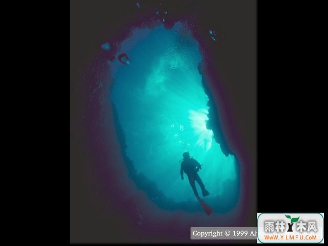 Amazing Dives Screensaver(ǱˮĻ)V1.2ٷ 1.2