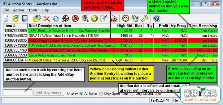 Auction Sentry Standard(ƷϢ;۲ѯ)V9.50.98ٷ