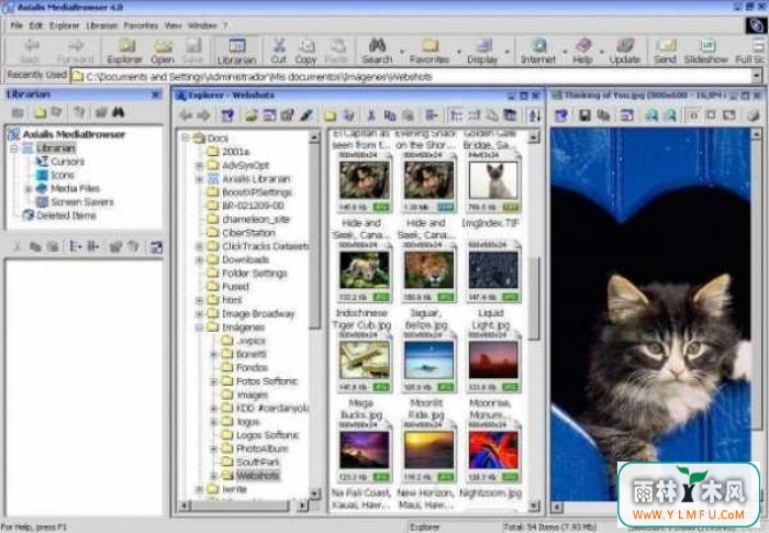 Axialis MediaBrowser 4(ý弰ļӹ)V1.1ٷ