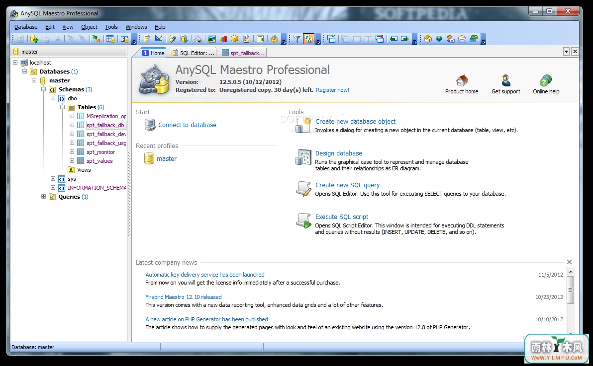 AnySQL Maestro Professional(AnySQL Maestro Professionalٷ)V1.0.0ٷ