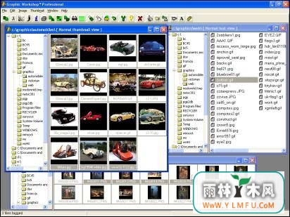 Graphics Workshop Pro(ͼgifͼ)V1.0.0ٷ