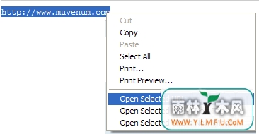 IE Open Selected URL(IE URL±ǩ)V1.0.0ٷ