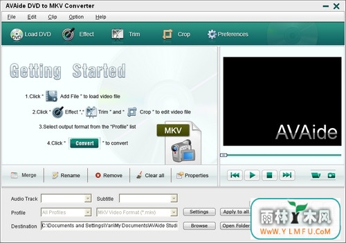 AVAide DVD To MKV Converter(DVDתMKVת)V1.0.0ٷ