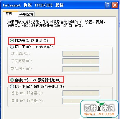 53-160Q9154T8-51-water.jpg