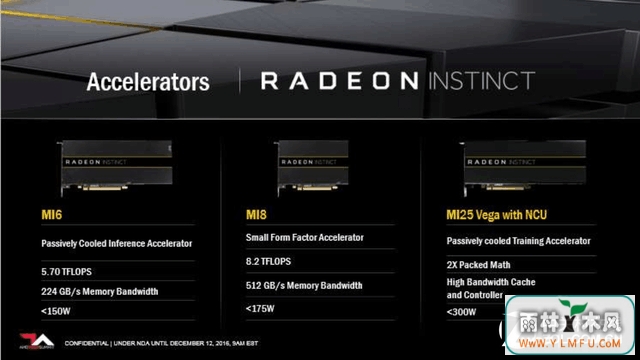 AMD˹ Radeon Instinct 