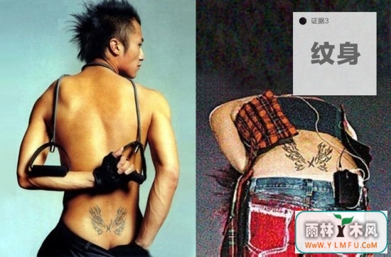 王菲年龄多少?为什么说王菲是谢霆锋的最爱?