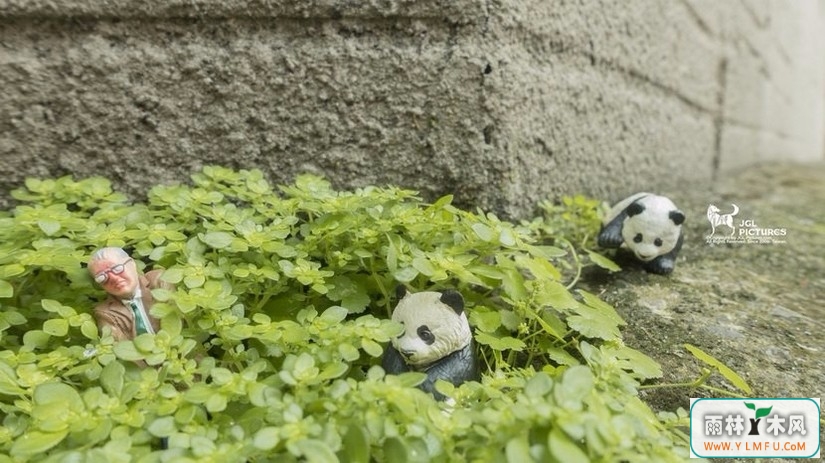 ΢ӰƷŤо