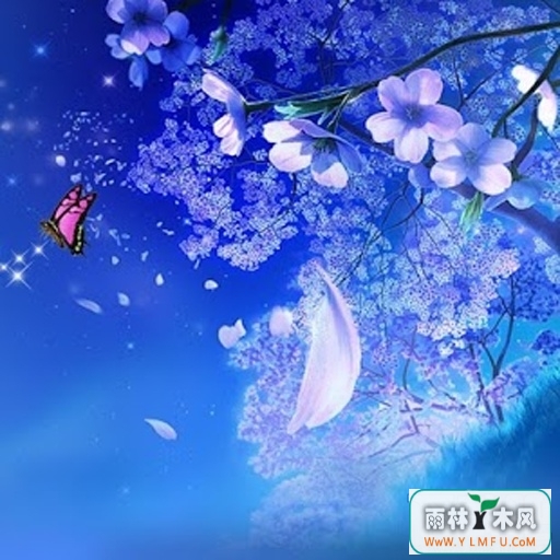 Wallpaper Magic(Wallpaper Magicٷ)V2.5ٷ