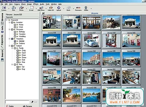 Paint Shop Photo Album(Ƭ)V5.01ٷ