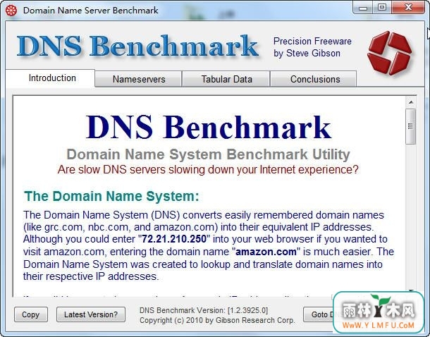 DNS Benchmark(DNSٹ)V0.0.3630.1ٷ V0.0.3630.1