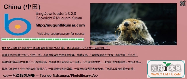 Ӧֽع(Bing Downloader)ٷV3.02ٷ V3.02
