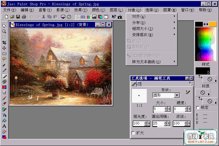 RealWorld Paint.COM(Paint.COMͼ༭)V2009.1ɫѰ