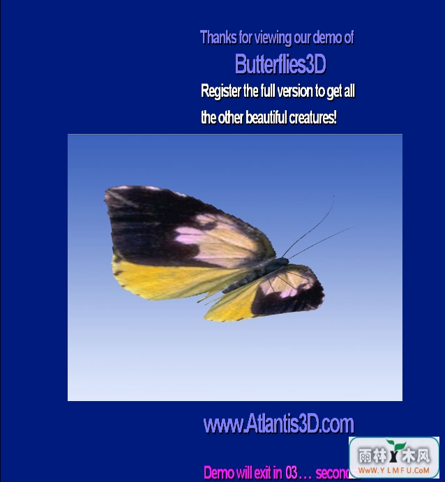 Butterflies3D ScreenSaver()V1.0ٷ