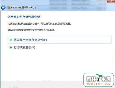 BitLocker