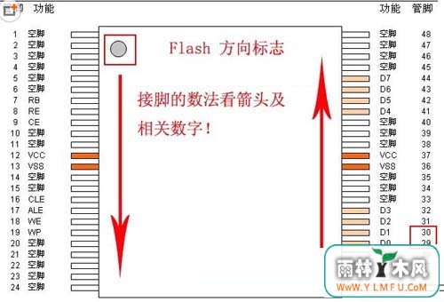 Flash־
